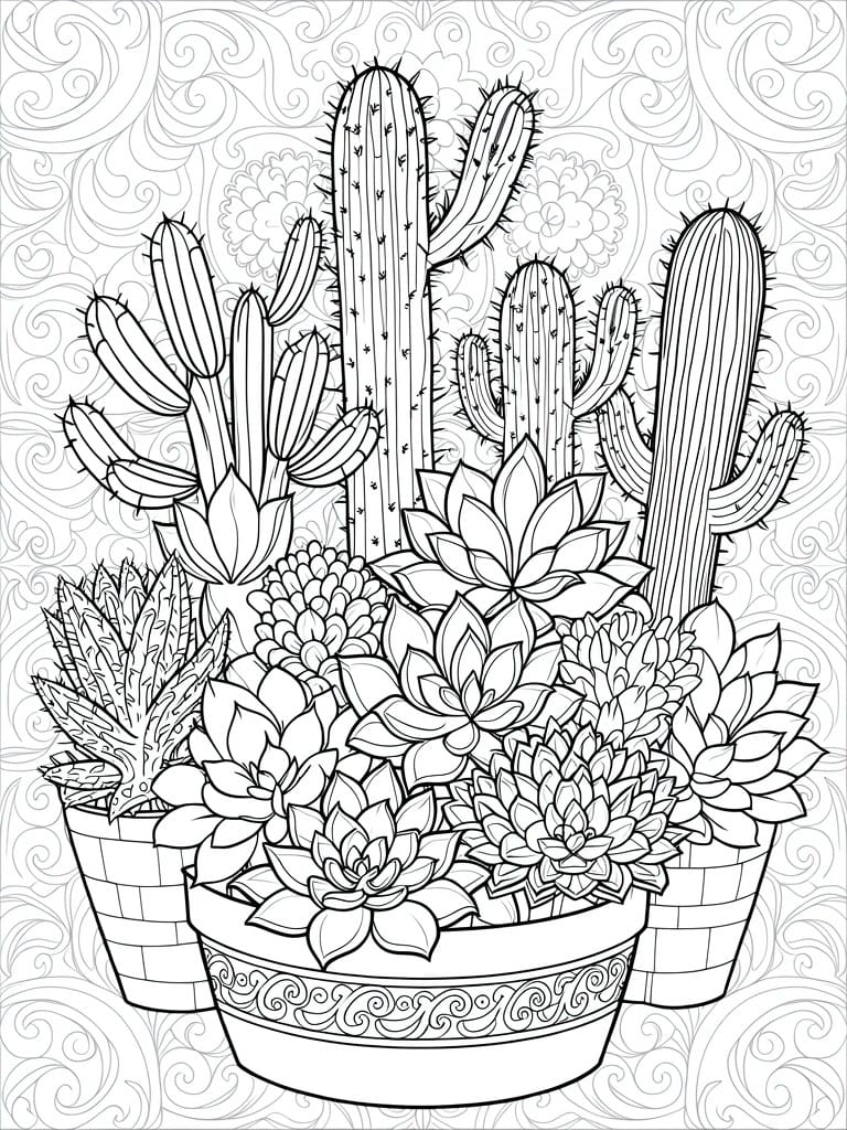 A black and white line drawing of multiple potted cacti and succulents arranged together with a swirling background pattern.