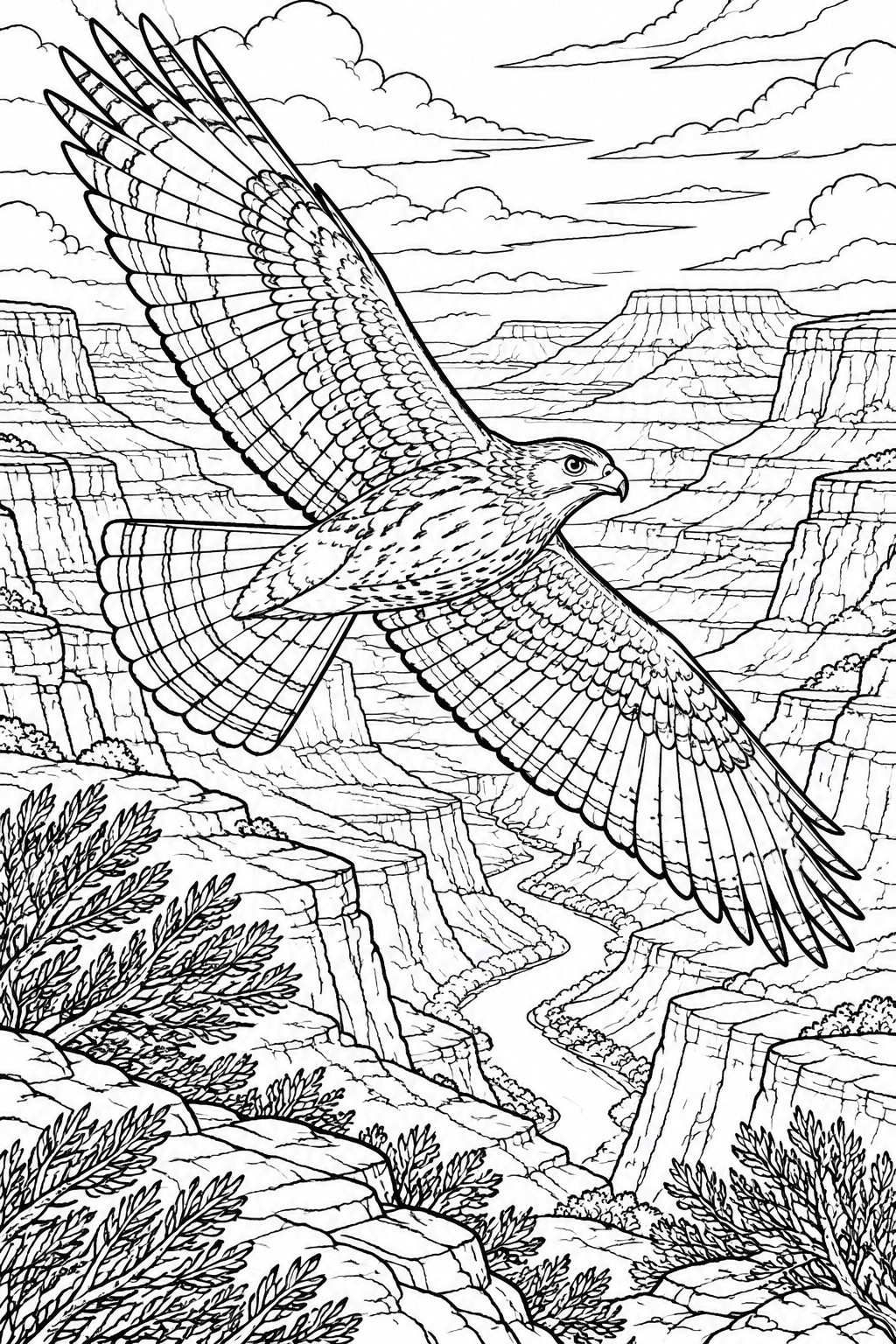 Black-and-white line drawing of a hawk soaring over a rocky canyon.