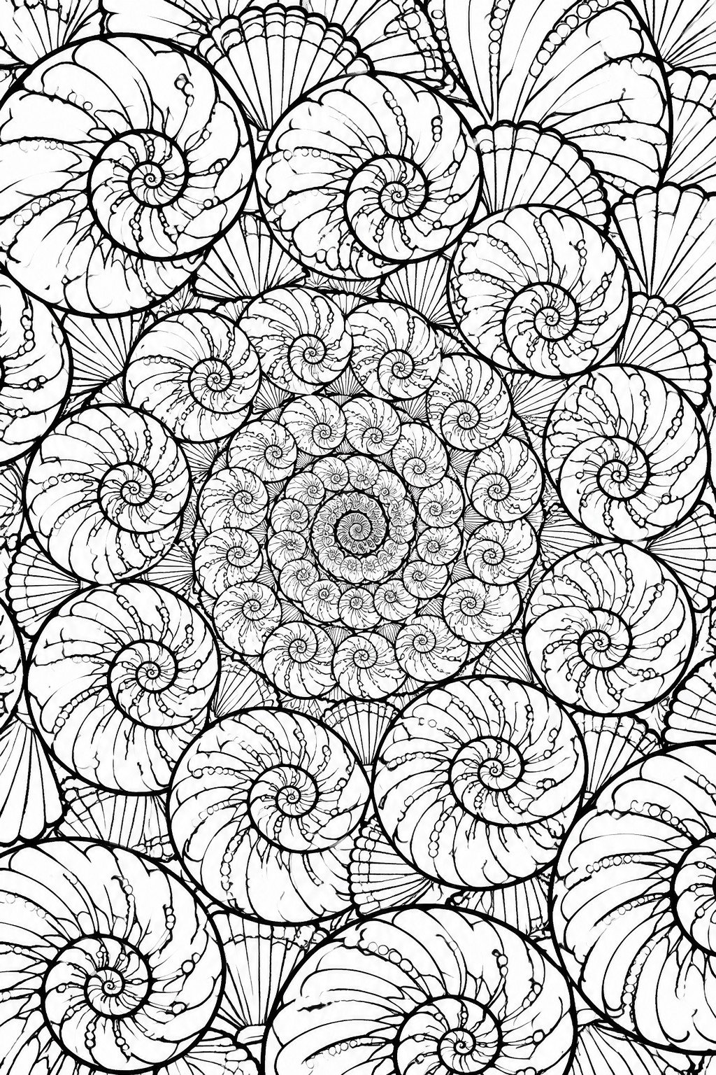 A black and white coloring page filled with overlapping spiral seashells and fan shells in a dense pattern.