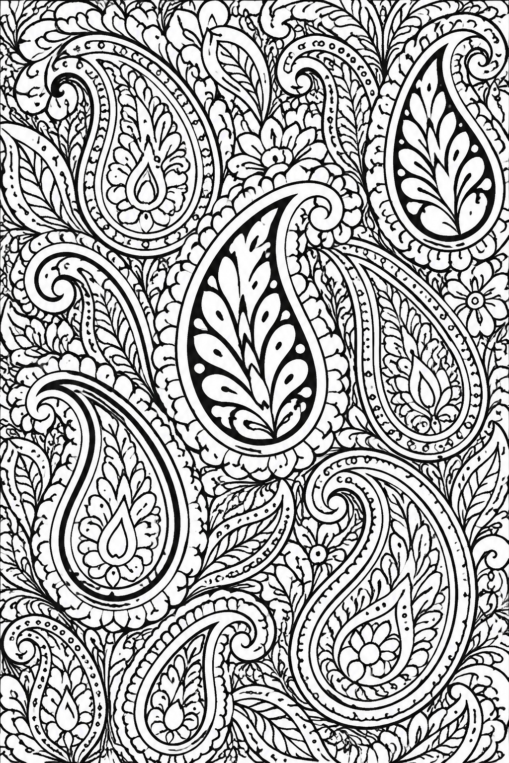 Intricate black and white paisley pattern with floral motifs and swirling details