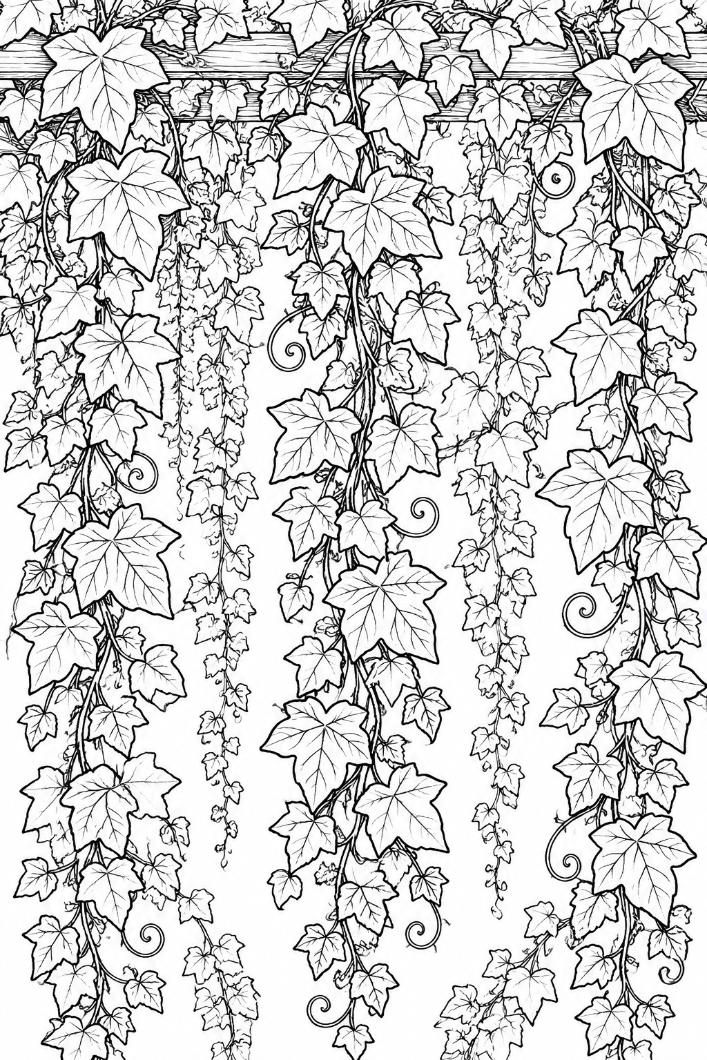 Black and white line drawing of hanging ivy vines with detailed leaves.