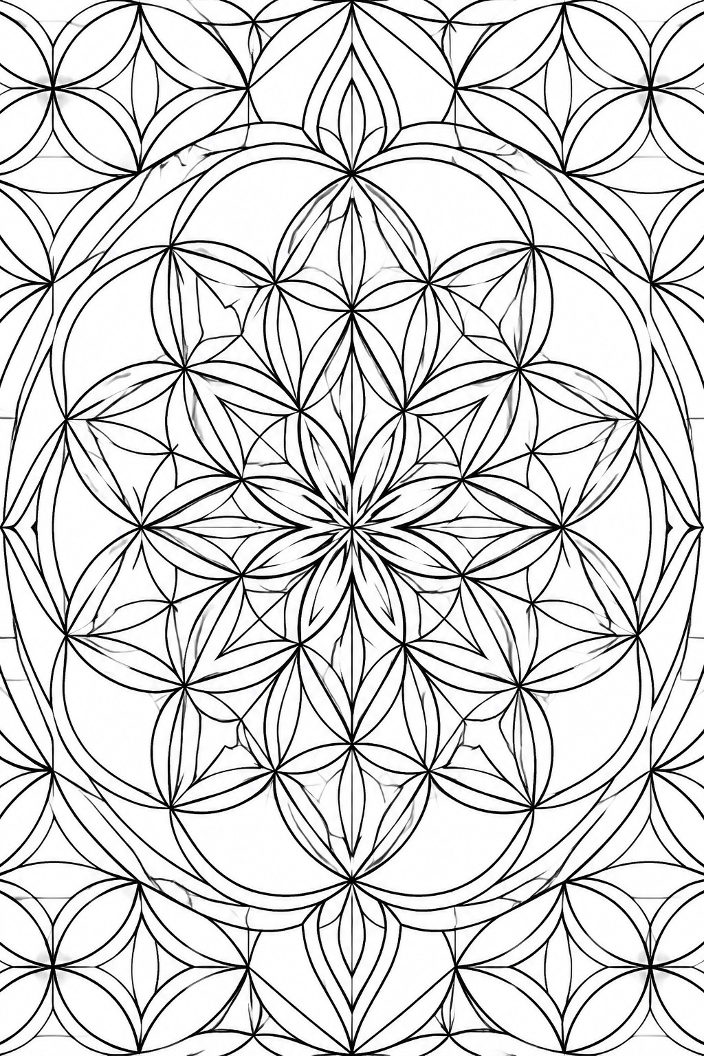 Intricate black and white mandala with overlapping circles and layered petals.